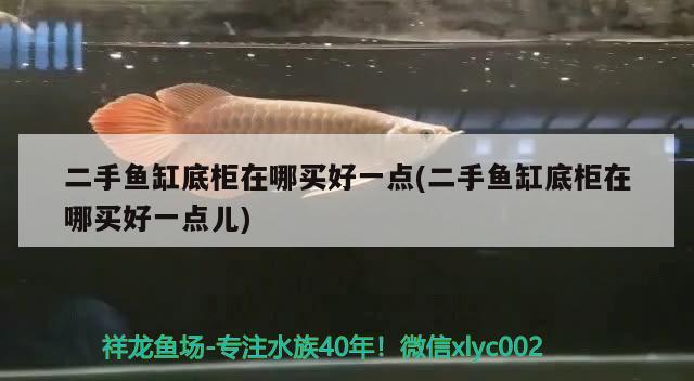 二手魚缸底柜在哪買好一點(二手魚缸底柜在哪買好一點兒) 黑金魟魚