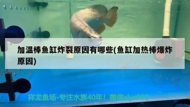 加溫棒魚缸炸裂原因有哪些(魚缸加熱棒爆炸原因) 綠皮皇冠豹魚