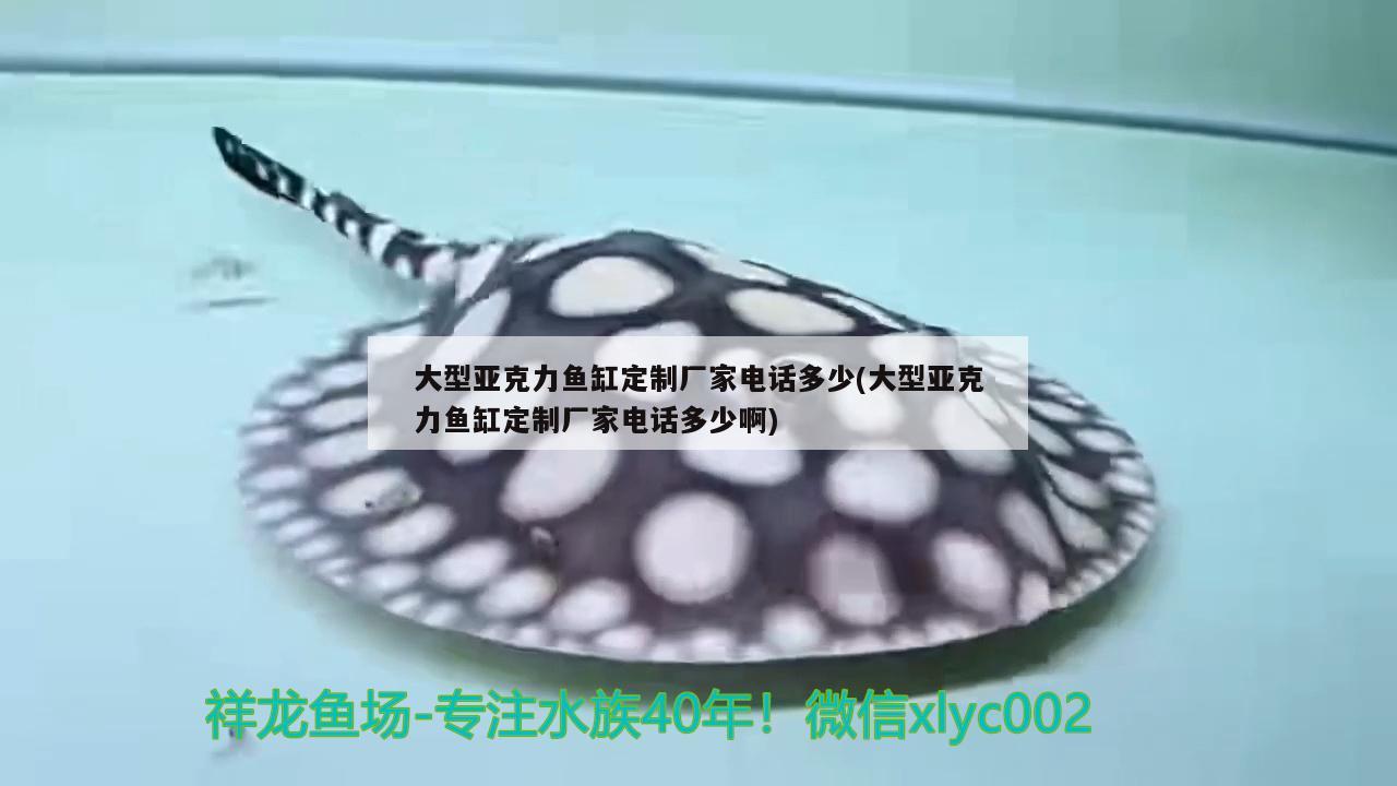 大型亞克力魚(yú)缸定制廠家電話多少(大型亞克力魚(yú)缸定制廠家電話多少啊)