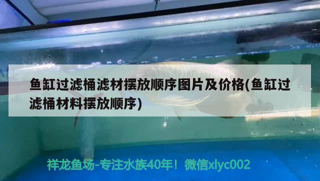 魚缸過濾桶濾材擺放順序圖片及價格(魚缸過濾桶材料擺放順序) 和尚魚