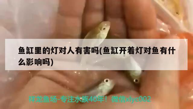 魚缸里的燈對人有害嗎(魚缸開著燈對魚有什么影響嗎) 其他益生菌