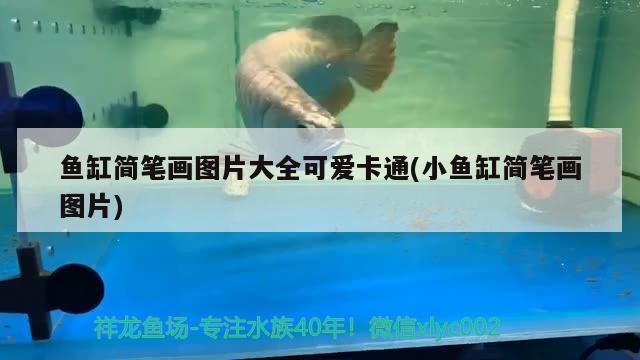 魚缸簡筆畫圖片大全可愛卡通(小魚缸簡筆畫圖片)