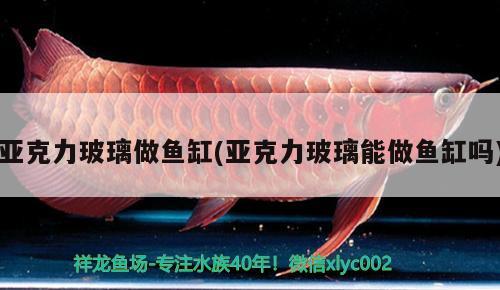 亞克力玻璃做魚缸(亞克力玻璃能做魚缸嗎)