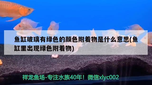 魚缸玻璃有綠色的顏色附著物是什么意思(魚缸里出現(xiàn)綠色附著物) 金龍魚糧