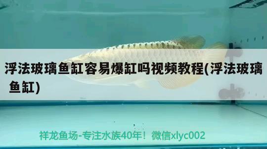 浮法玻璃魚缸容易爆缸嗎視頻教程(浮法玻璃魚缸) 新加坡號半紅龍魚（練手級紅龍魚）