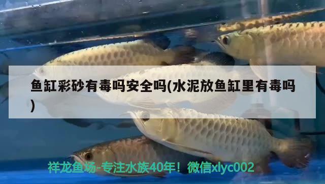 魚缸彩砂有毒嗎安全嗎(水泥放魚缸里有毒嗎)