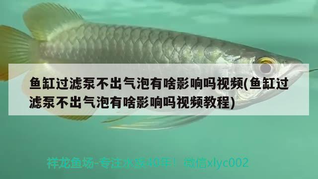 魚缸過濾泵不出氣泡有啥影響嗎視頻(魚缸過濾泵不出氣泡有啥影響嗎視頻教程) 水溫計