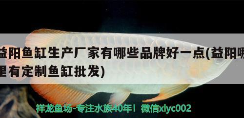 益陽魚缸生產(chǎn)廠家有哪些品牌好一點(diǎn)(益陽哪里有定制魚缸批發(fā)) 祥龍赫舞紅龍魚