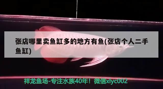 張店哪里賣魚(yú)缸多的地方有魚(yú)(張店個(gè)人二手魚(yú)缸)