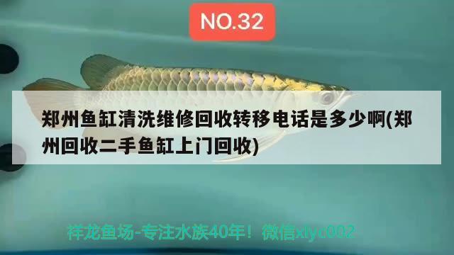 鄭州魚(yú)缸清洗維修回收轉(zhuǎn)移電話是多少啊(鄭州回收二手魚(yú)缸上門(mén)回收) 福魟魟魚(yú)