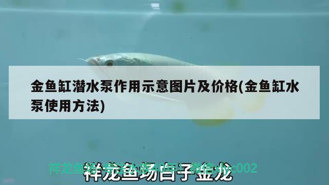 金魚缸潛水泵作用示意圖片及價格(金魚缸水泵使用方法)