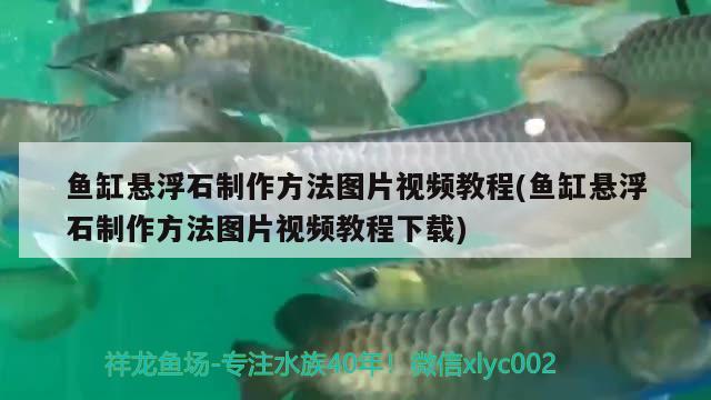 魚(yú)缸懸浮石制作方法圖片視頻教程(魚(yú)缸懸浮石制作方法圖片視頻教程下載)