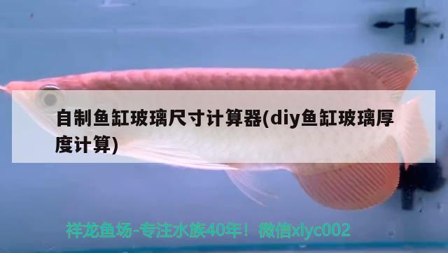 自制魚(yú)缸玻璃尺寸計(jì)算器(diy魚(yú)缸玻璃厚度計(jì)算) 觀賞蝦蟹等飼料