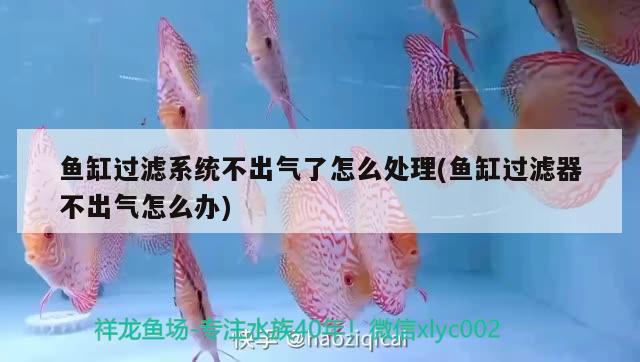 魚(yú)缸過(guò)濾系統(tǒng)不出氣了怎么處理(魚(yú)缸過(guò)濾器不出氣怎么辦)