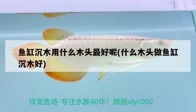 魚(yú)缸沉木用什么木頭最好呢(什么木頭做魚(yú)缸沉木好) 觀賞蝦蟹等飼料