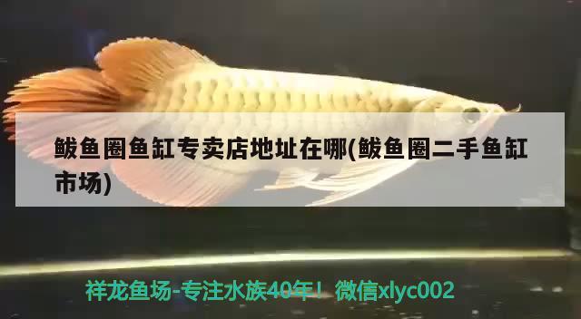 鲅魚圈魚缸專賣店地址在哪(鲅魚圈二手魚缸市場) 眼斑魚 第2張