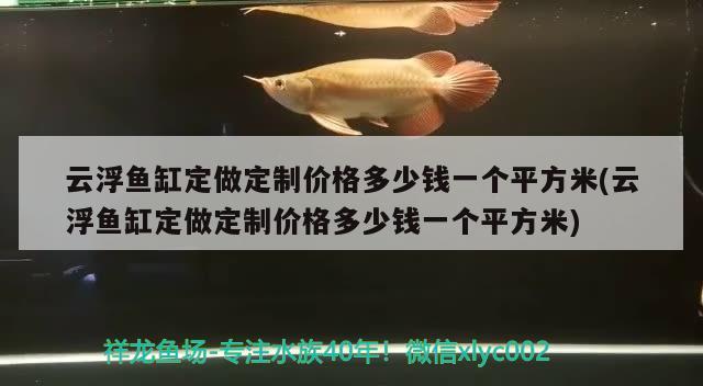 云浮魚(yú)缸定做定制價(jià)格多少錢(qián)一個(gè)平方米(云浮魚(yú)缸定做定制價(jià)格多少錢(qián)一個(gè)平方米)