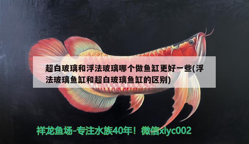 超白玻璃和浮法玻璃哪個(gè)做魚(yú)缸更好一些(浮法玻璃魚(yú)缸和超白玻璃魚(yú)缸的區(qū)別) 黑桃A魚(yú)