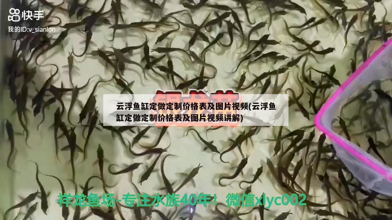 云浮魚缸定做定制價(jià)格表及圖片視頻(云浮魚缸定做定制價(jià)格表及圖片視頻講解) 虎魚百科