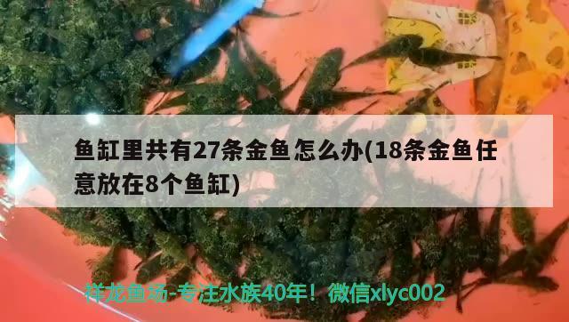 魚缸里共有27條金魚怎么辦(18條金魚任意放在8個(gè)魚缸) 龍魚芯片掃碼器