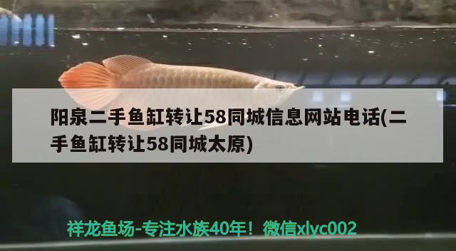 陽泉二手魚缸轉(zhuǎn)讓58同城信息網(wǎng)站電話(二手魚缸轉(zhuǎn)讓58同城太原) 撒旦鴨嘴魚