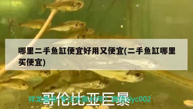 哪里二手魚缸便宜好用又便宜(二手魚缸哪里買便宜)