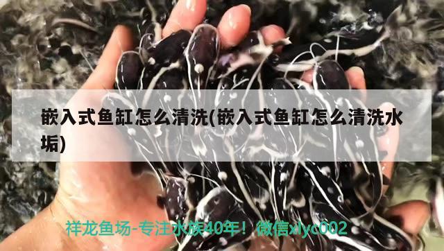 嵌入式魚缸怎么清洗(嵌入式魚缸怎么清洗水垢) 龍魚芯片掃碼器