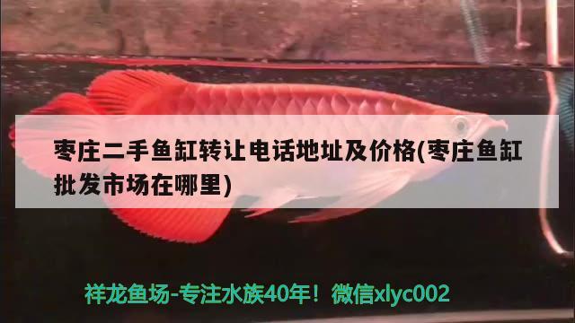 棗莊二手魚缸轉(zhuǎn)讓電話地址及價(jià)格(棗莊魚缸批發(fā)市場(chǎng)在哪里) 過(guò)背金龍魚