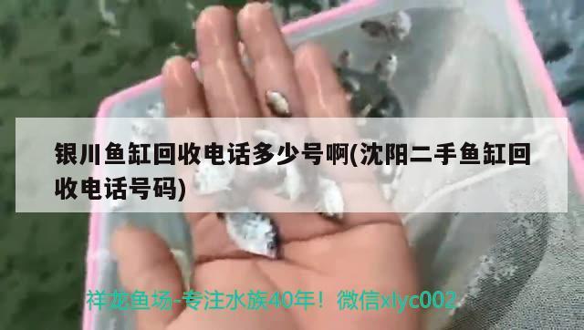 銀川魚缸回收電話多少號啊(沈陽二手魚缸回收電話號碼)