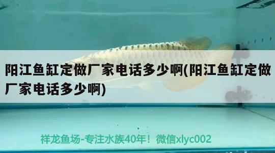 陽(yáng)江魚缸定做廠家電話多少啊(陽(yáng)江魚缸定做廠家電話多少啊)