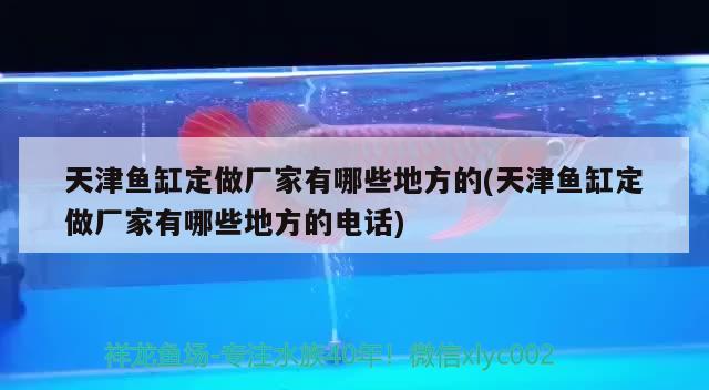 天津魚缸定做廠家有哪些地方的(天津魚缸定做廠家有哪些地方的電話)