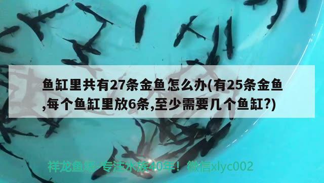 魚缸里共有27條金魚怎么辦(有25條金魚,每個(gè)魚缸里放6條,至少需要幾個(gè)魚缸?) 錦鯉池魚池建設(shè)