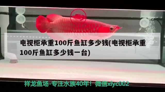 電視柜承重100斤魚缸多少錢(電視柜承重100斤魚缸多少錢一臺(tái))