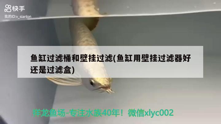 魚缸過濾桶和壁掛過濾(魚缸用壁掛過濾器好還是過濾盒)