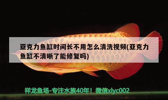 亞克力魚缸時(shí)間長不用怎么清洗視頻(亞克力魚缸不清晰了能修復(fù)嗎) 龍魚芯片掃碼器