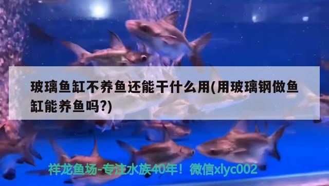 玻璃魚缸不養(yǎng)魚還能干什么用(用玻璃鋼做魚缸能養(yǎng)魚嗎?)