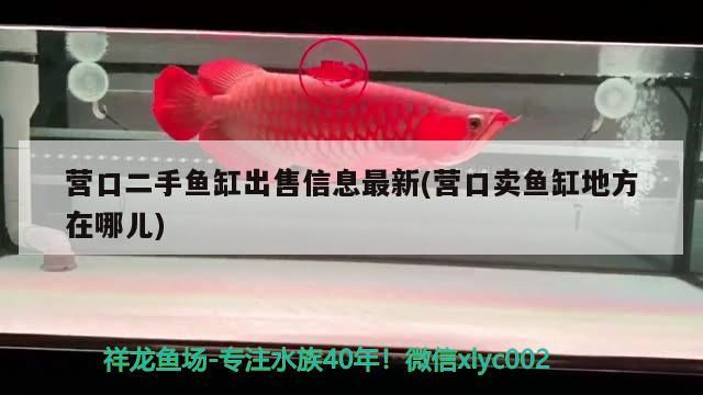 營口二手魚缸出售信息最新(營口賣魚缸地方在哪兒) 羅漢魚