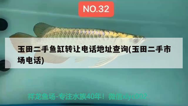 玉田二手魚缸轉(zhuǎn)讓電話地址查詢(玉田二手市場電話)