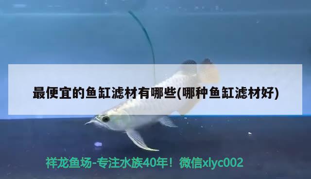 最便宜的魚(yú)缸濾材有哪些(哪種魚(yú)缸濾材好)