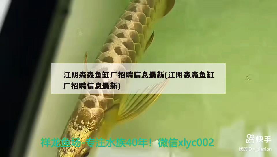 江陰森森魚(yú)缸廠招聘信息最新(江陰森森魚(yú)缸廠招聘信息最新) 細(xì)線銀版魚(yú)