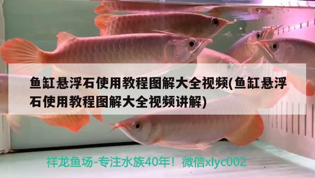 魚缸懸浮石使用教程圖解大全視頻(魚缸懸浮石使用教程圖解大全視頻講解) 祥龍魚場(chǎng)