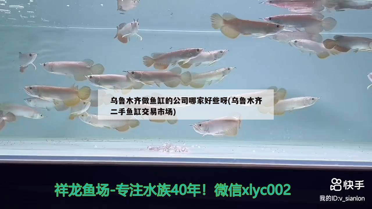 烏魯木齊做魚缸的公司哪家好些呀(烏魯木齊二手魚缸交易市場)