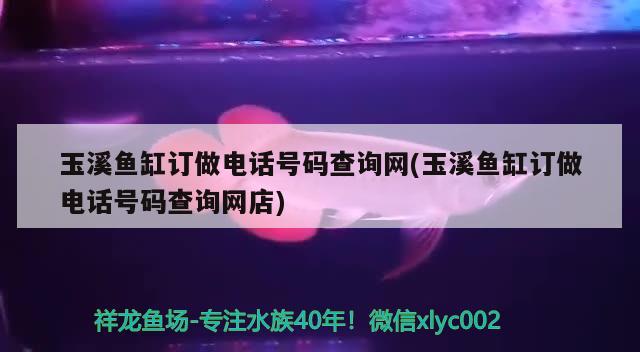 玉溪魚缸訂做電話號(hào)碼查詢網(wǎng)(玉溪魚缸訂做電話號(hào)碼查詢網(wǎng)店)