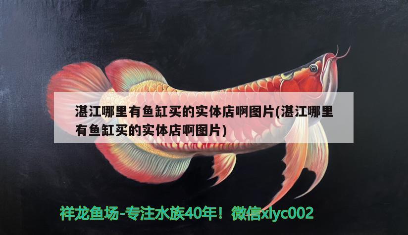 湛江哪里有魚(yú)缸買(mǎi)的實(shí)體店啊圖片(湛江哪里有魚(yú)缸買(mǎi)的實(shí)體店啊圖片) 養(yǎng)魚(yú)知識(shí)