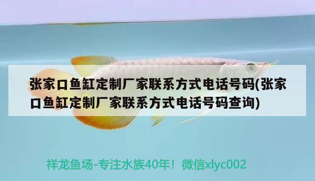 張家口魚缸定制廠家聯(lián)系方式電話號(hào)碼(張家口魚缸定制廠家聯(lián)系方式電話號(hào)碼查詢) 大日玉鯖魚