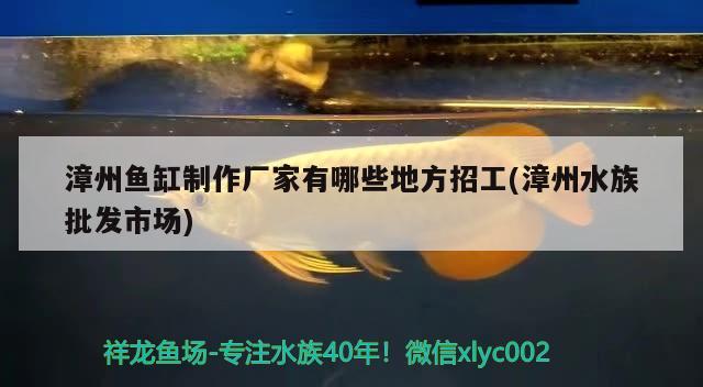 漳州魚缸制作廠家有哪些地方招工(漳州水族批發(fā)市場) 觀賞魚水族批發(fā)市場