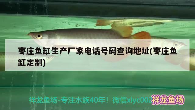 棗莊魚缸生產廠家電話號碼查詢地址(棗莊魚缸定制)