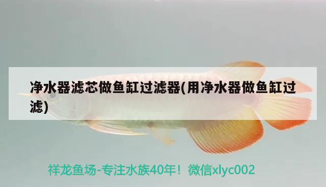 凈水器濾芯做魚缸過濾器(用凈水器做魚缸過濾)