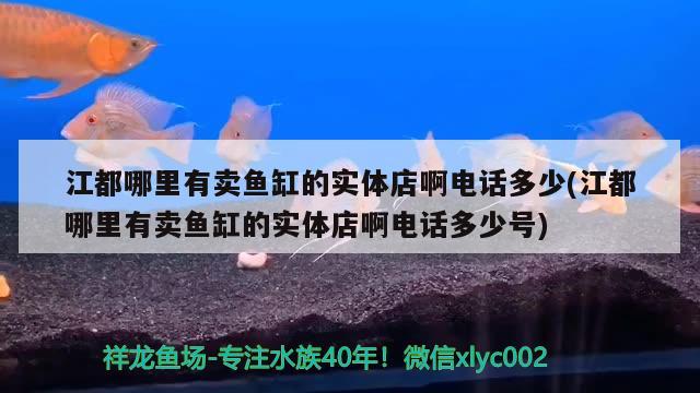 江都哪里有賣魚缸的實體店啊電話多少(江都哪里有賣魚缸的實體店啊電話多少號)