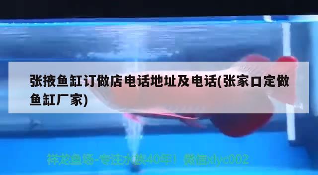 張掖魚缸訂做店電話地址及電話(張家口定做魚缸廠家)